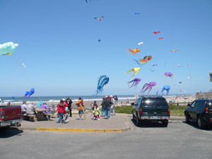 Kite Festival