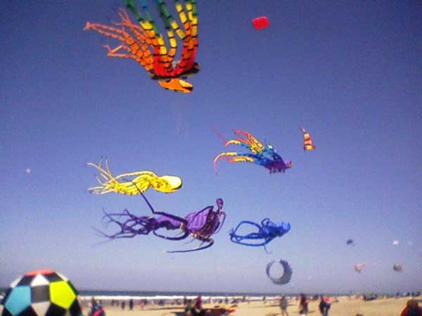 Oregon Coast kite festival